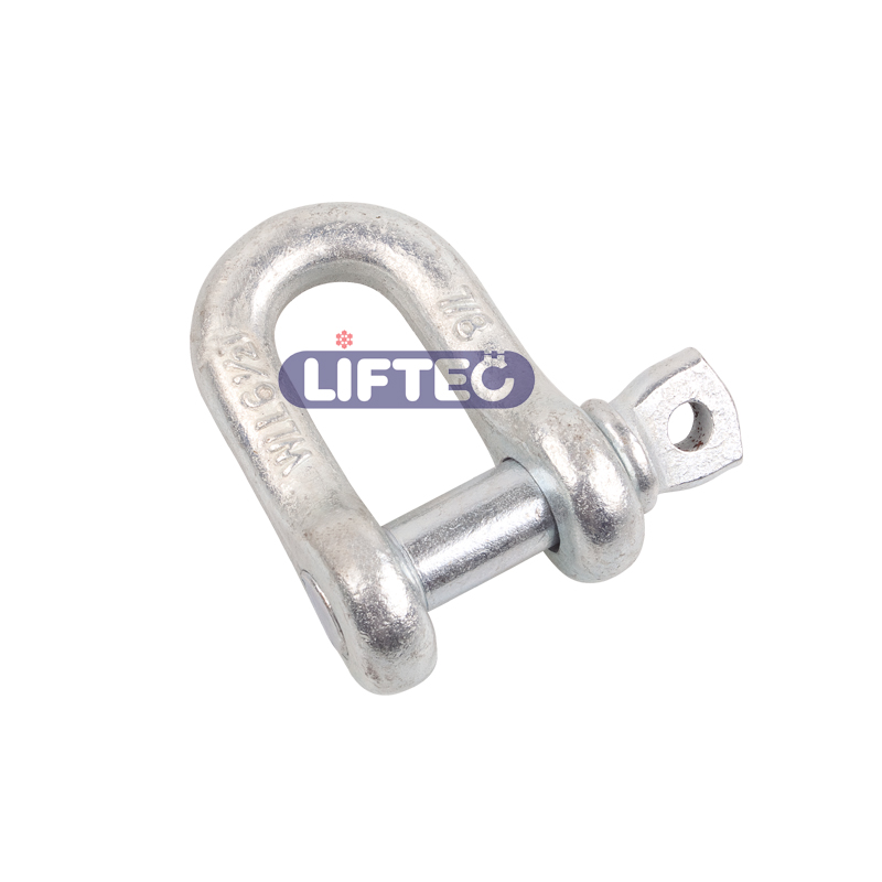 G210 US Type Forged Dee Shackle