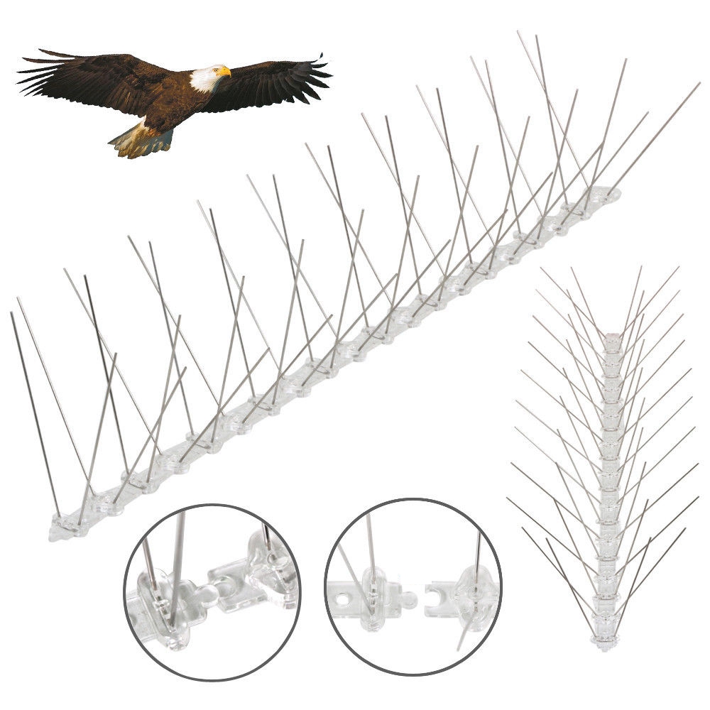 Stainless Steel Pigeon Control anti bird Spike