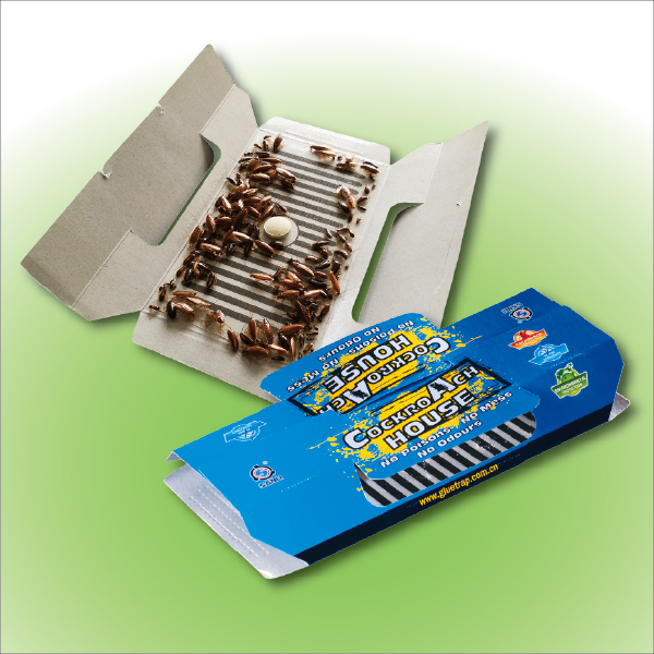 Adhesive Cockroach Glue Trap