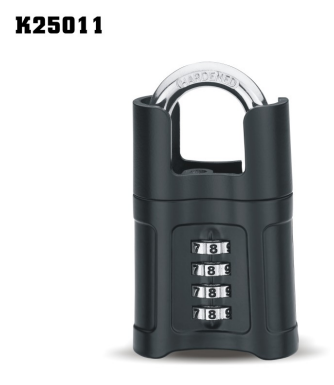 K25012