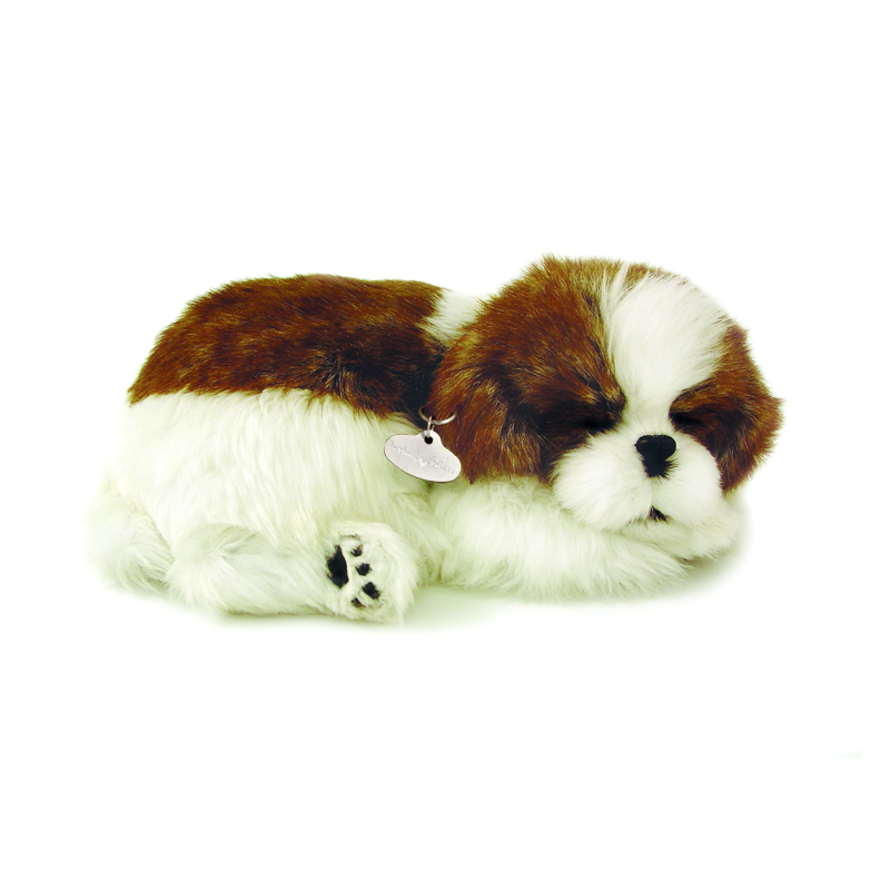 Perfect Petzzz - Shi Tzu