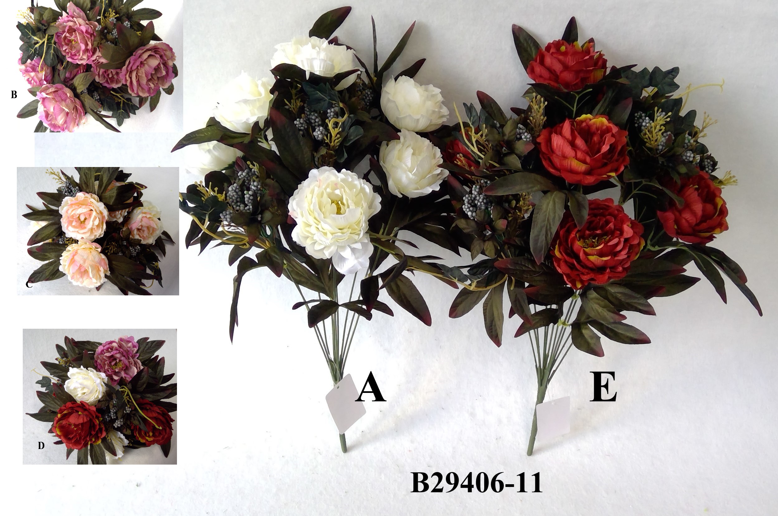 Autumn peony bush x 11