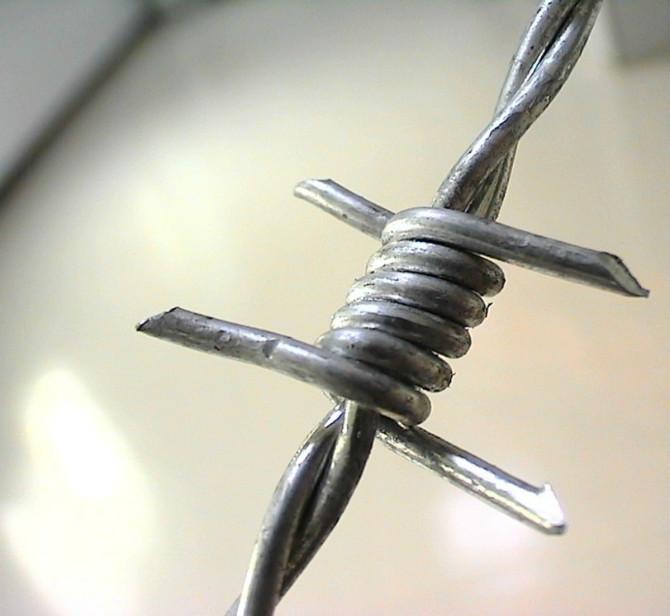 Barbed Wire High tensile Steel Farm Fencing Barbed Wire