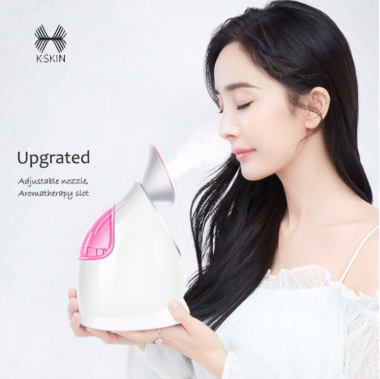Ionic Hot Mist Nano Facial Steamer