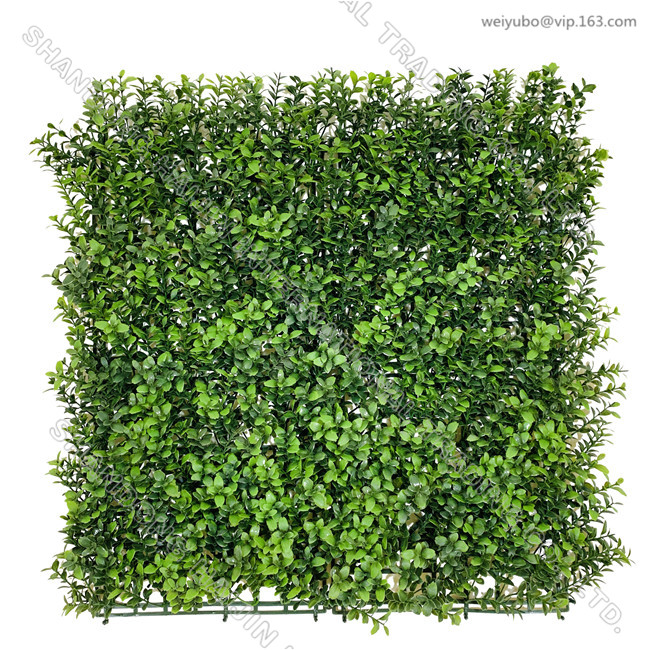 Artificial boxwood green wall panel 50x50cm