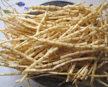 Rhizoma Imperatae