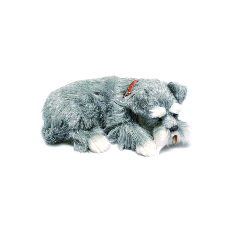 Perfect Petzzz - Schnauzer