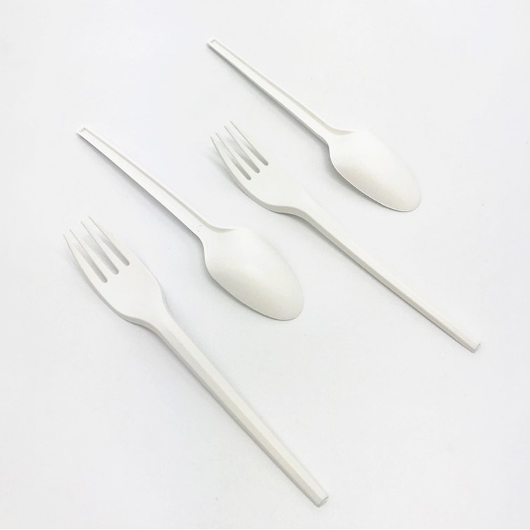 Biodegradable CPLA Spoon 6.0 inch