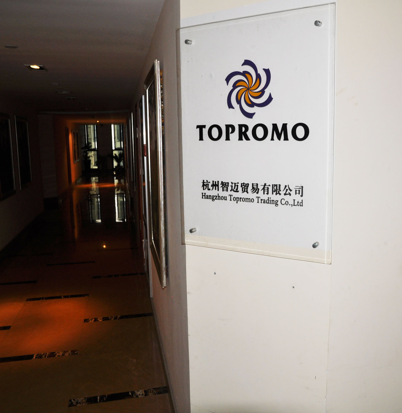 Hangzhou Zhimai Trading Co., Ltd. – Camera 1