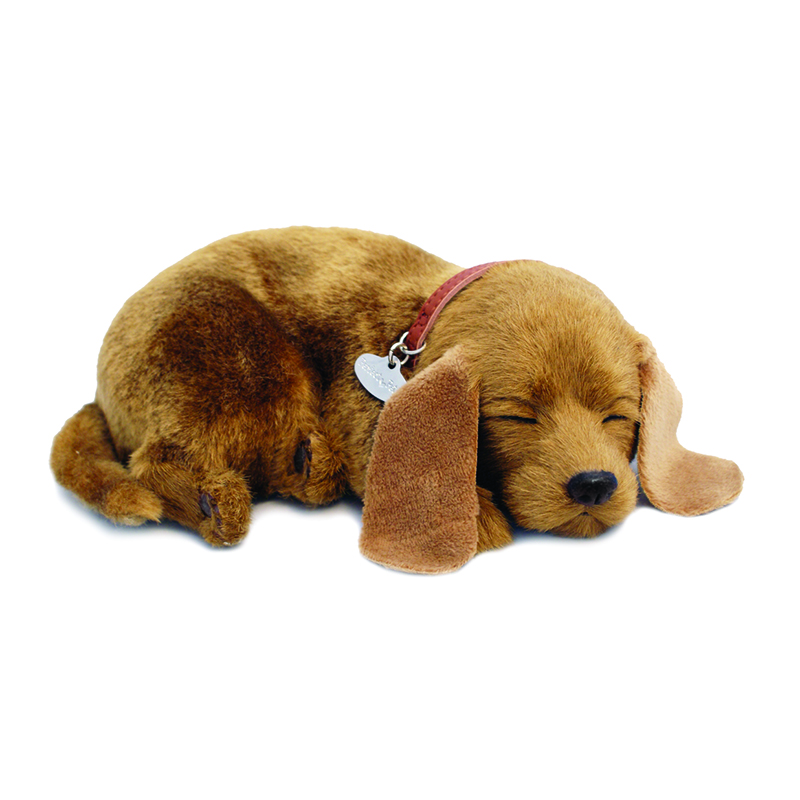 Perfect Petzzz - Mutt