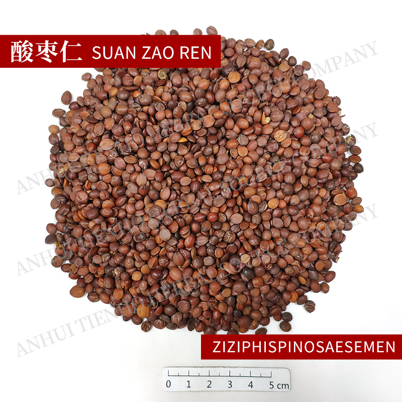 Seed of Wild Jujube