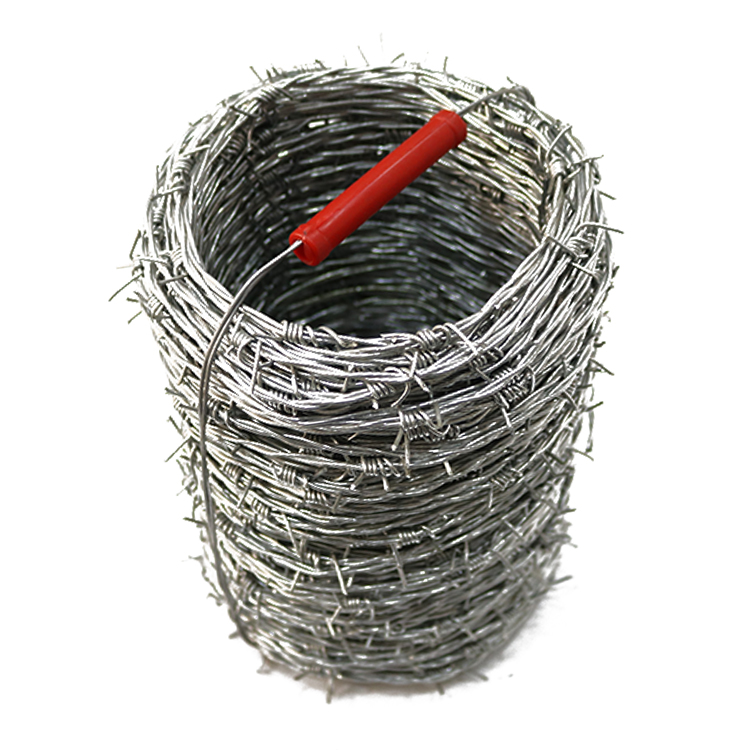 galvanized barb wire
