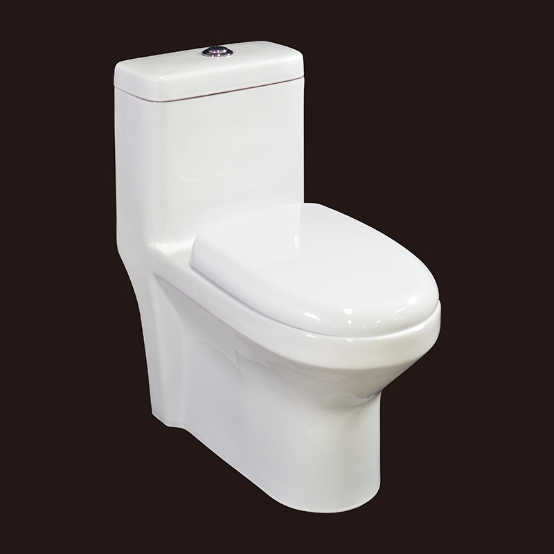 One Piece Toilet