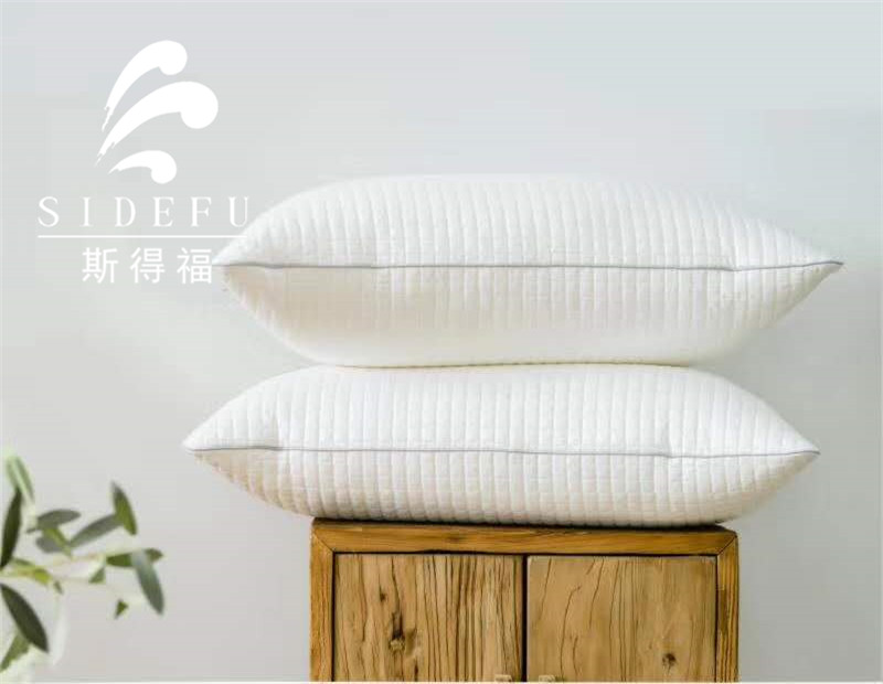Home Washable Anti-bacteria Pillow