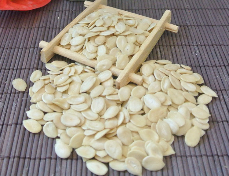 watermelon kernel