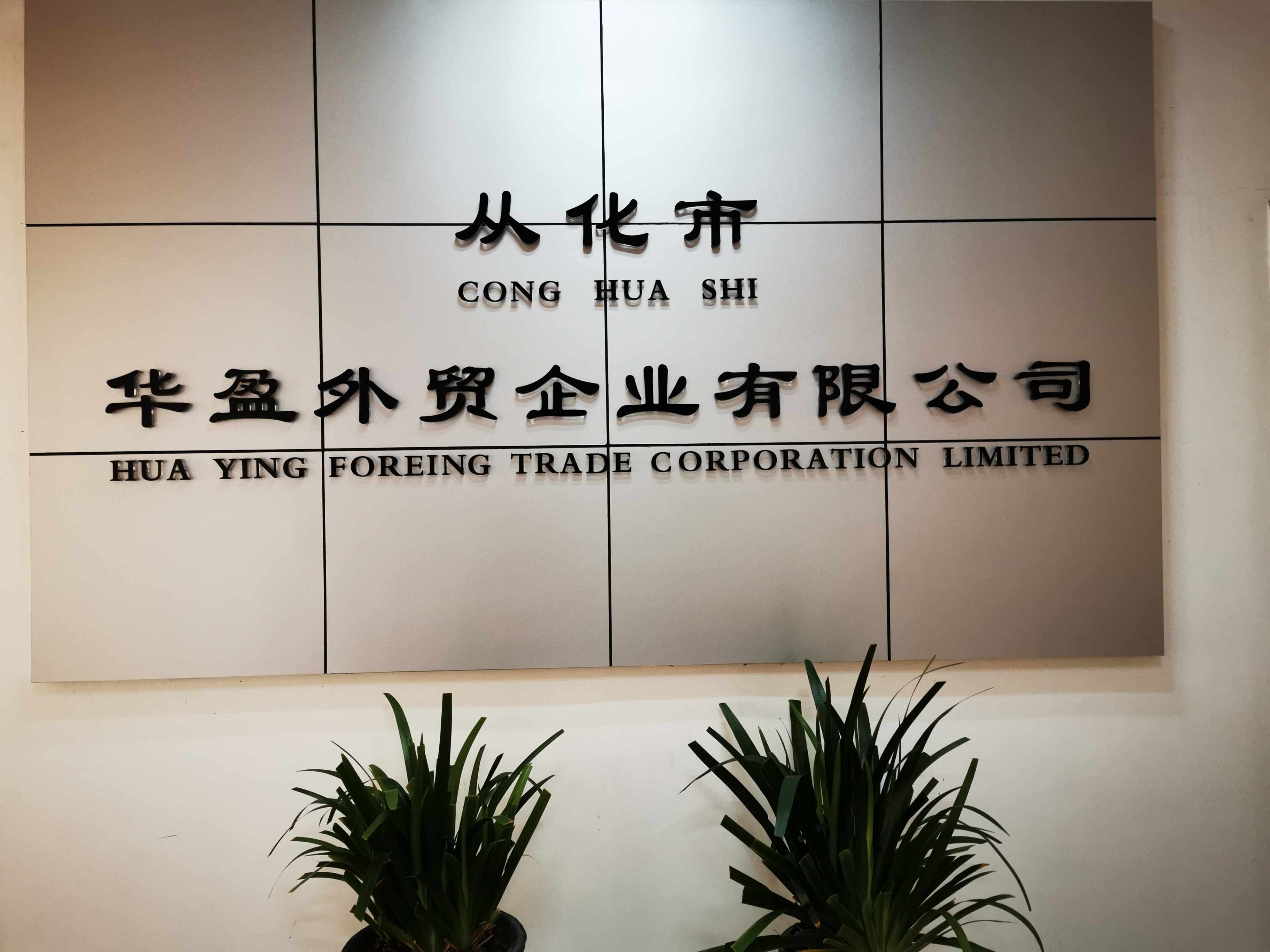 Conghua Huaying Foreign Trade Enterprise Co., Ltd. – Holiday lights 1