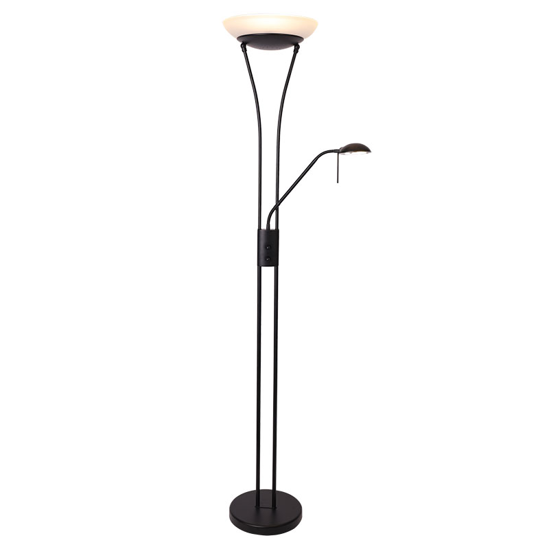 LED mother and son floor lamp
