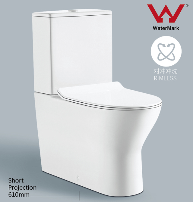 Rimless two piece toilet