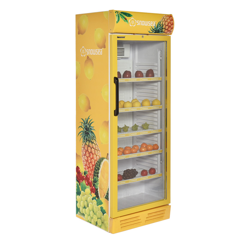Snowsea Showcase(Chiller)-Lc-450