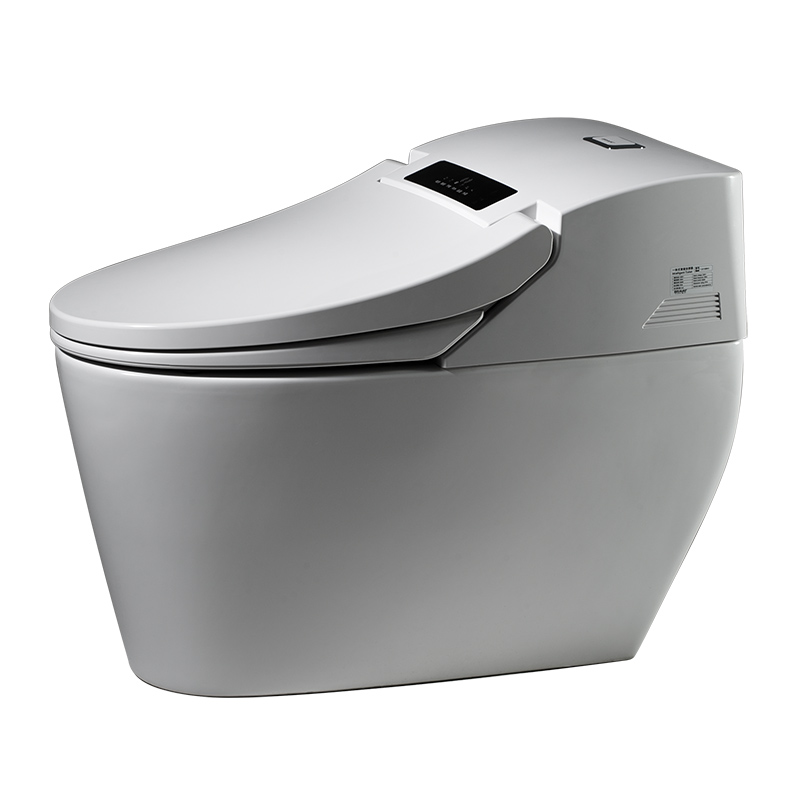 Bravat Electric remote control Floor Mounted One piece Intelligent Toilet with Cistern intelligent wc toilet