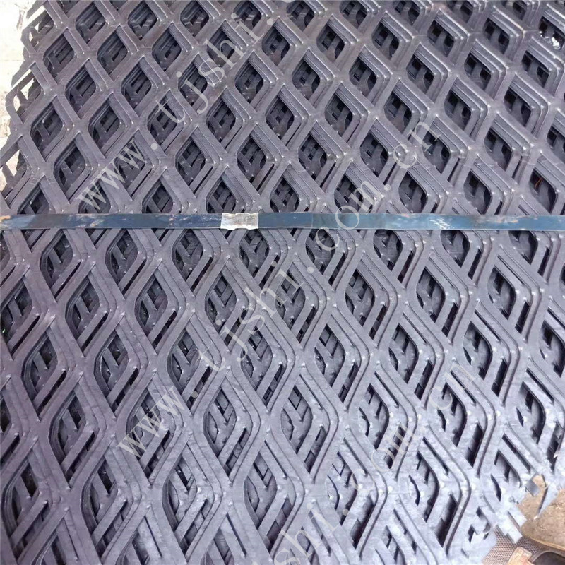 Expanded Mesh