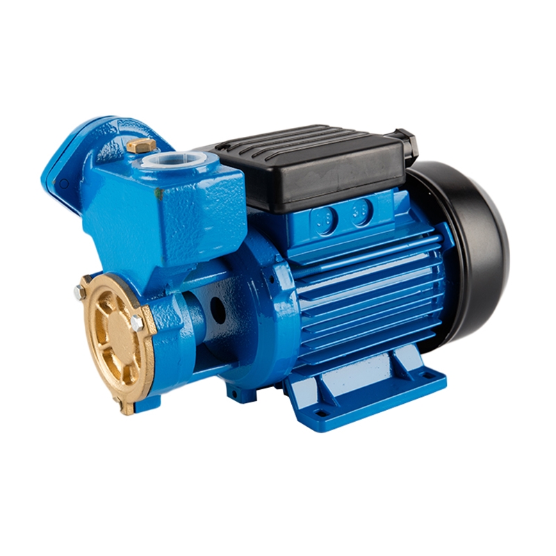 DB Series Peripheral Pumps