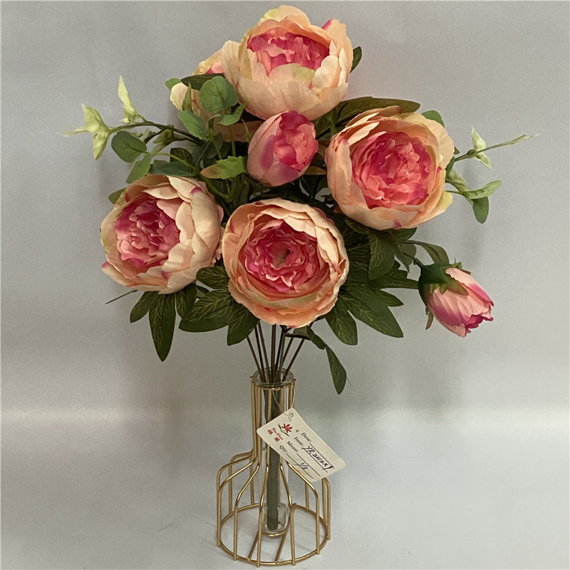 Peony Bush X 9