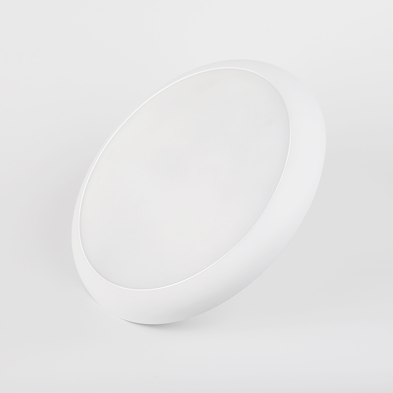 IP54 ceiling lamp