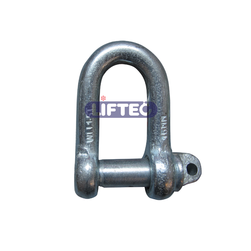 Large Dee Shackle BS3032