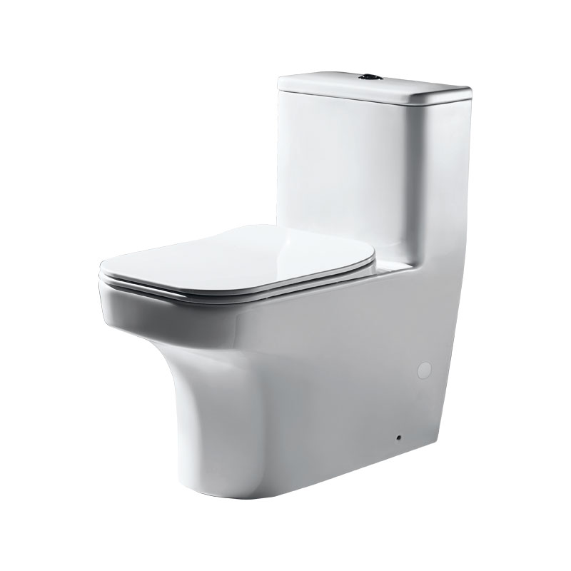 Bravat Meissen Series Floor Mounted One piece Toilet wc toilet