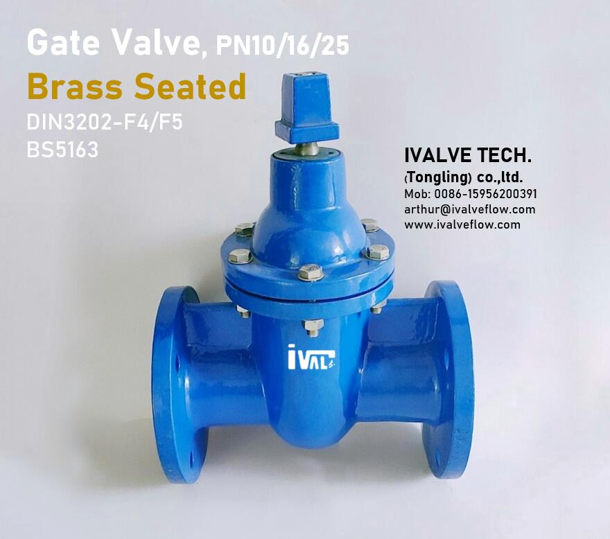 IVALVE TECH. (TONGLING) CO.,LTD. – matriz de metal 2