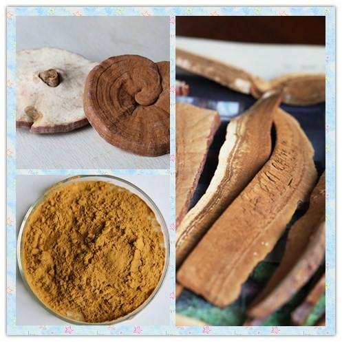 Chinese Herbal Extract