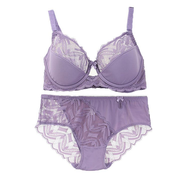 factory wholesale ladys' fancy lace Nylon bra and panty