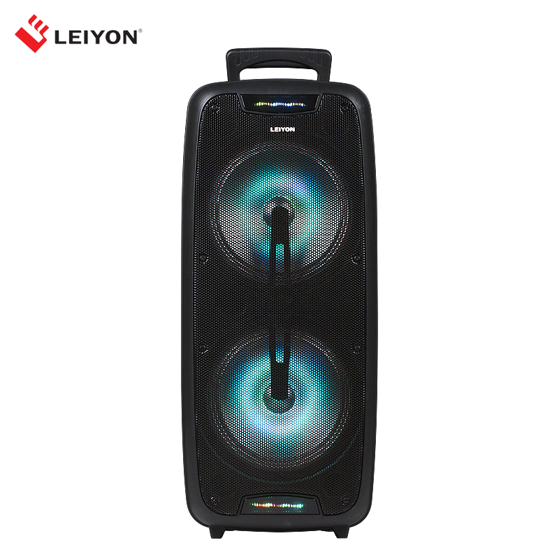 30W Double 8 inch Bluetooth Speaker D08D LED Lighting Portable Wireless Bluetooth Party Speaker