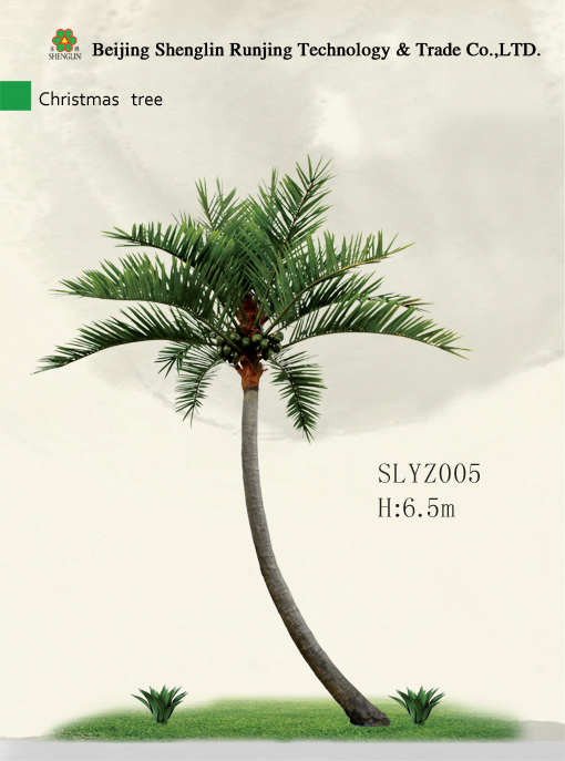 SLYZ005