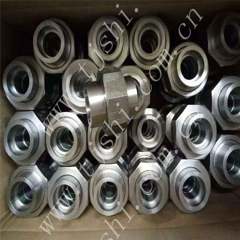 Forged Steel Pipe Fittings