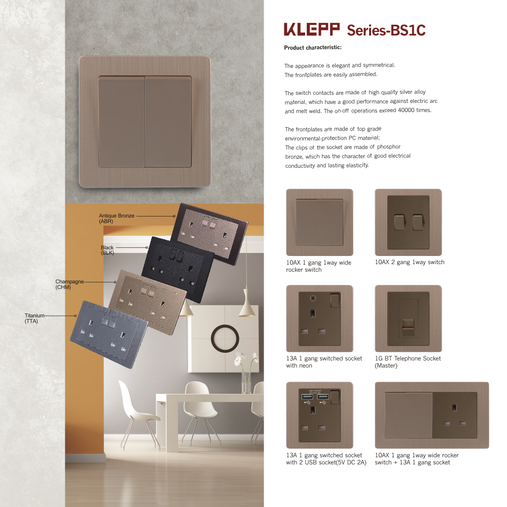 BS1C BS switch and socket