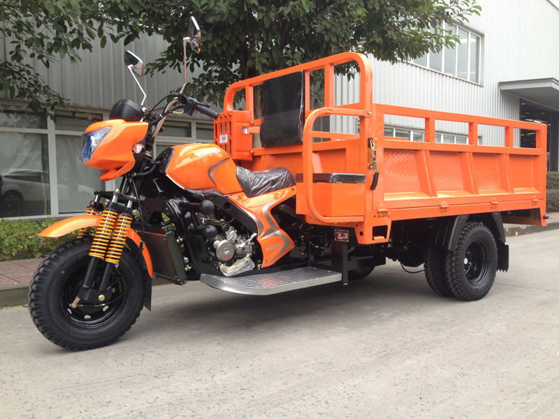 DB250ZH-6A Double rear wheel light truck cargo tricycle