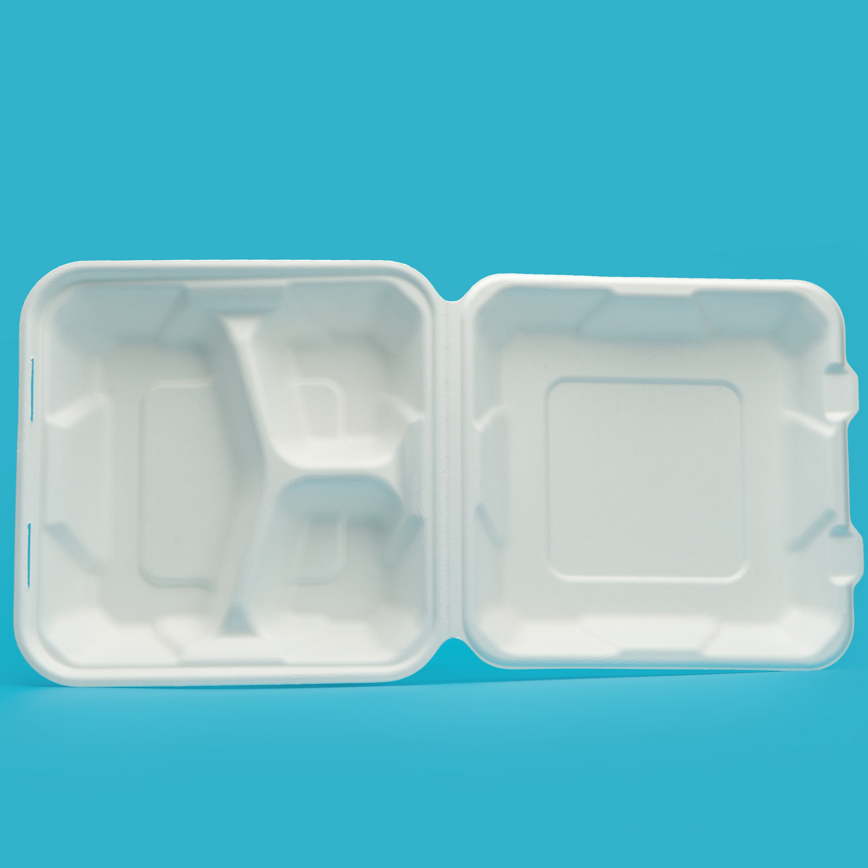 8 inch 3compt. clamshell
