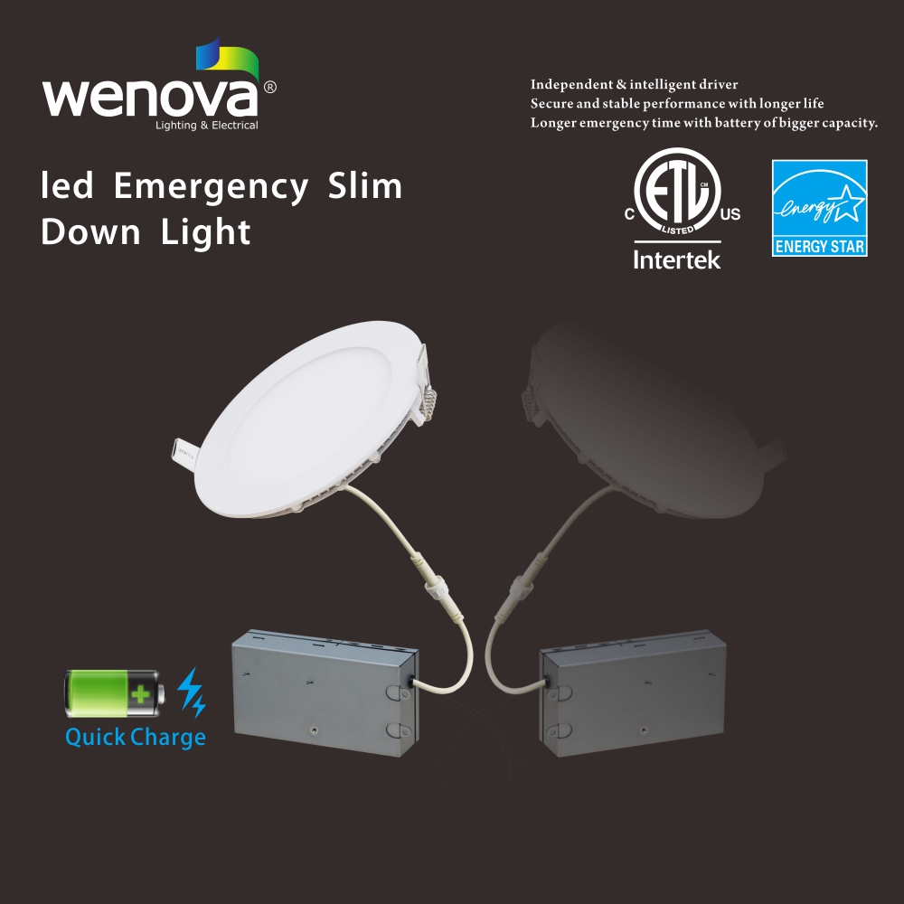 LED Emergency Down Light