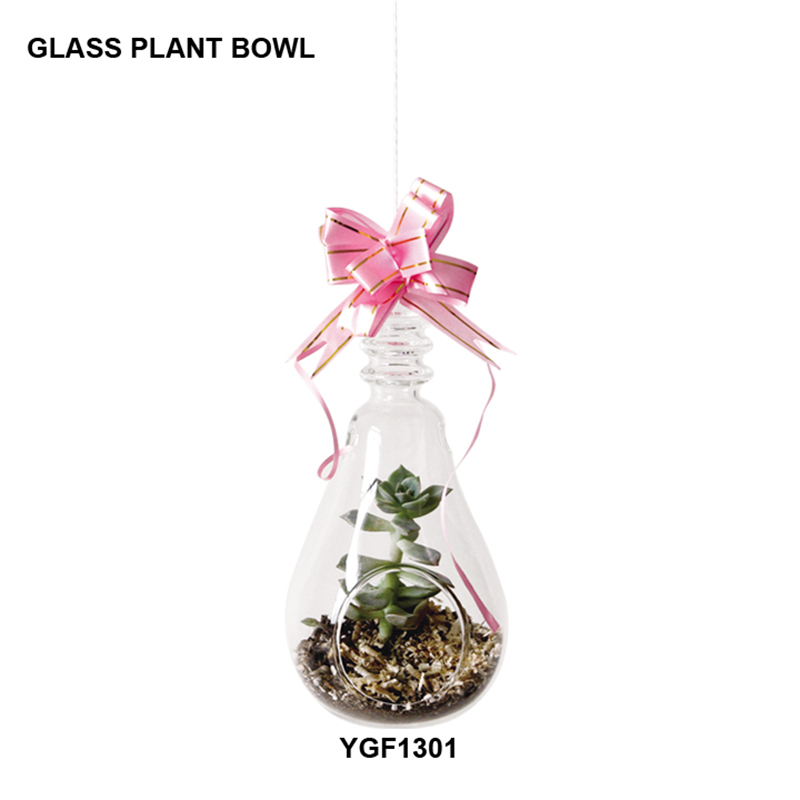 Glass Plant Bowl