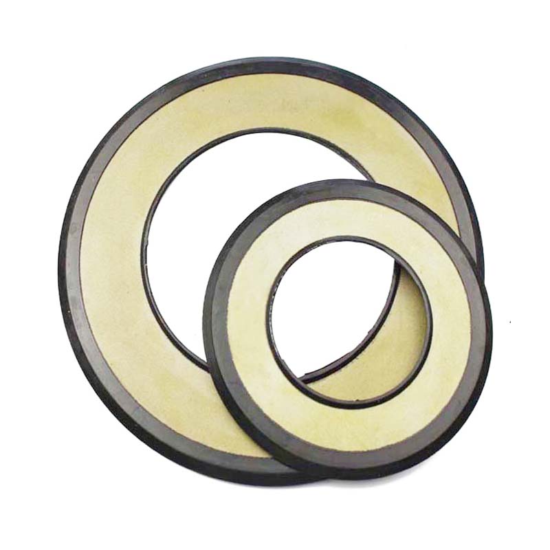 Oil seal