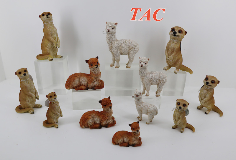 Animals