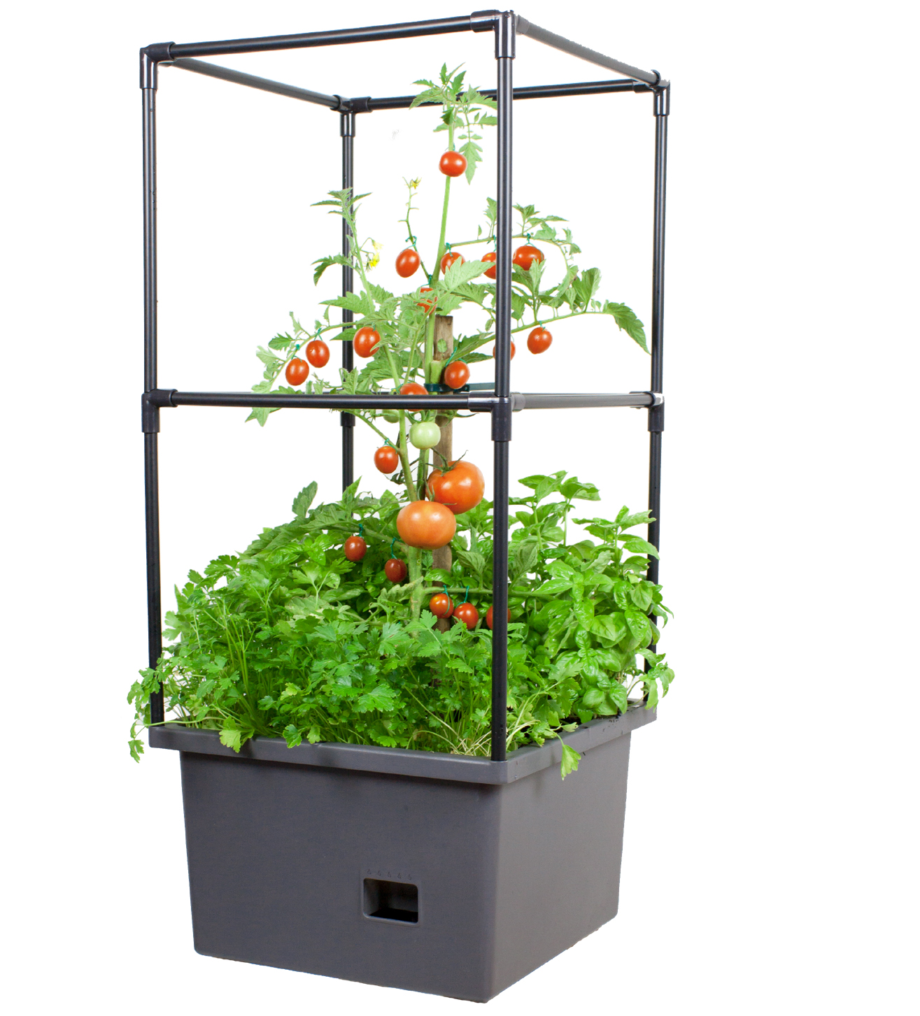 The Square Jumbo Pot