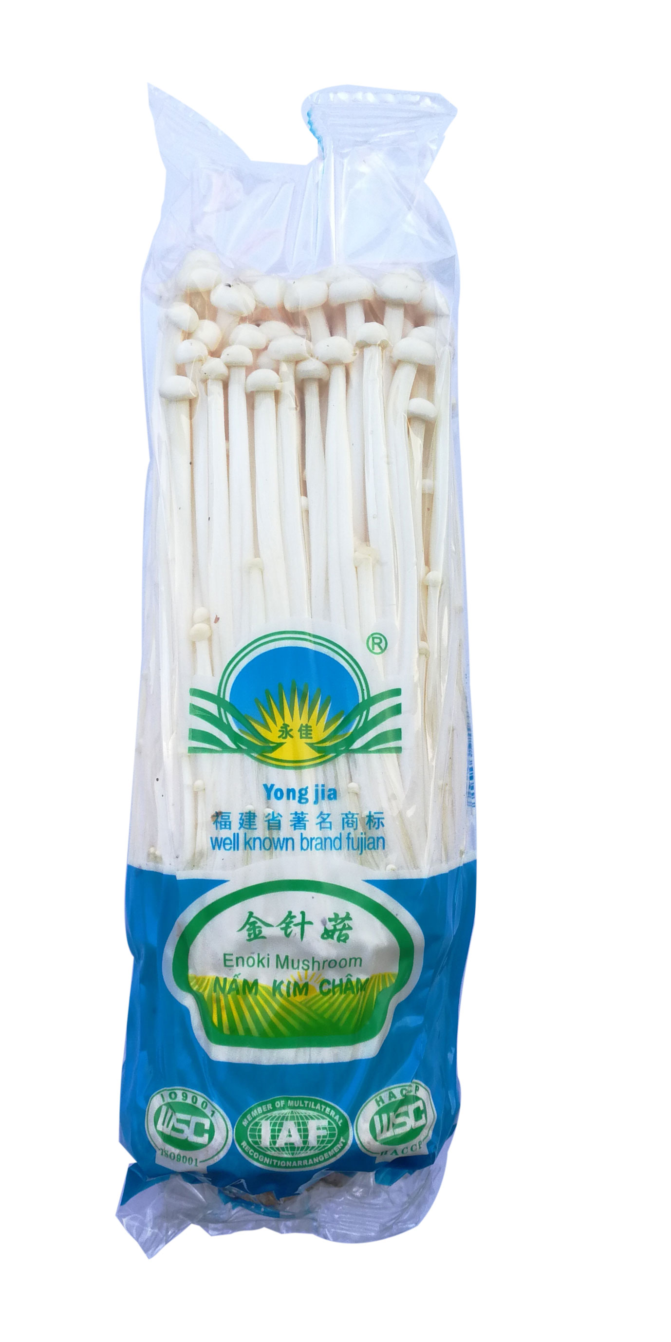 Enoki Mushroom