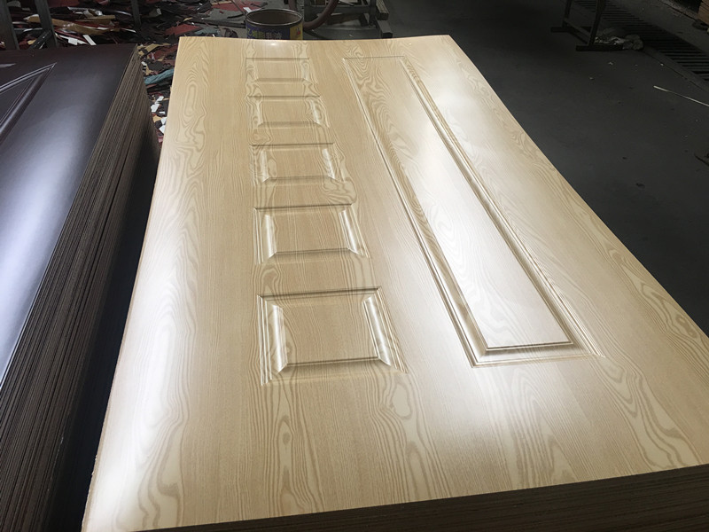 Door Skin