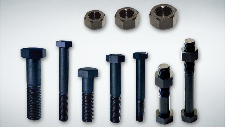 Shandong Qiangli Standard Parts Manufacturing Co., Ltd. – standard parts 3