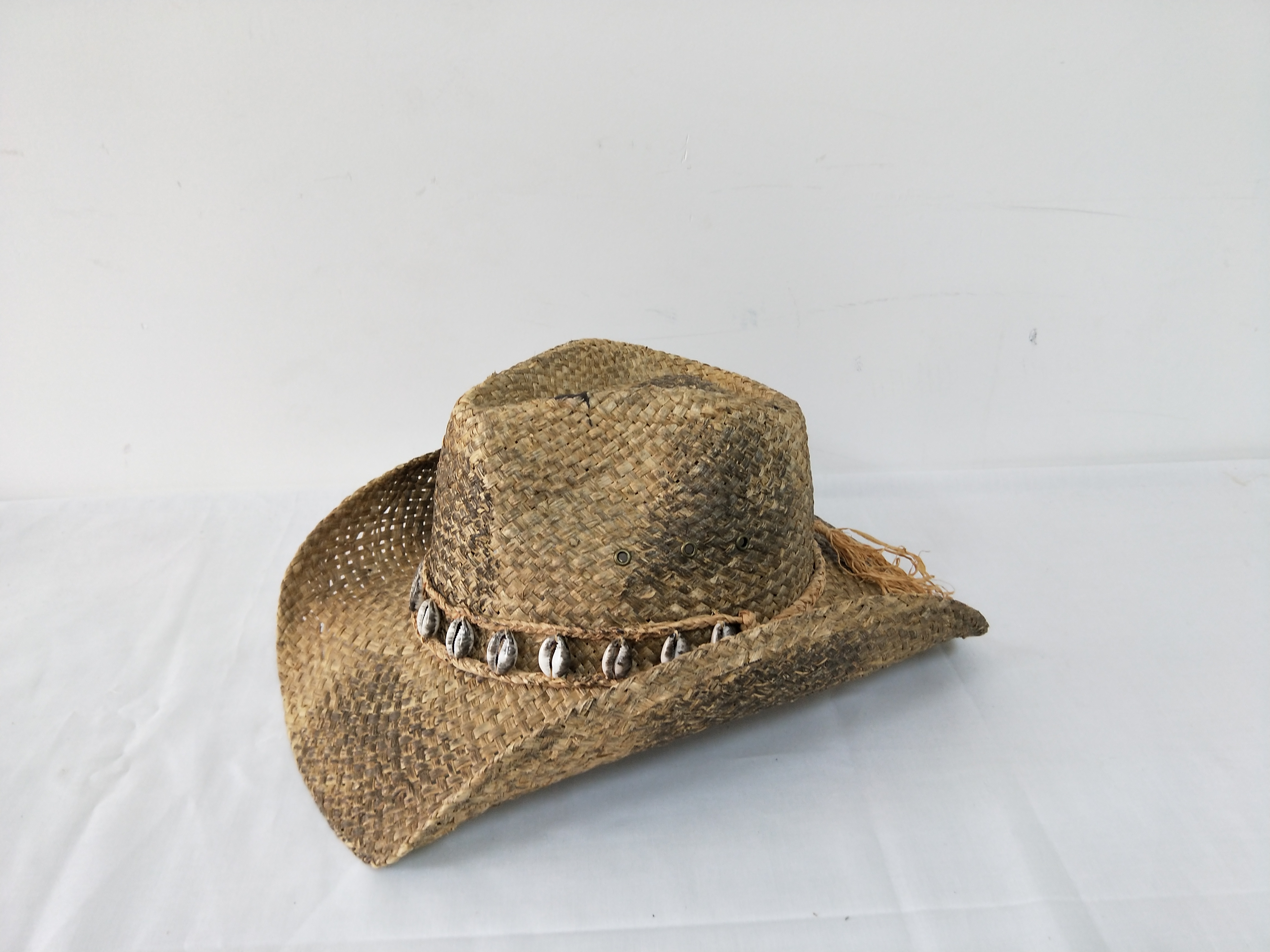cowboy-MS200358