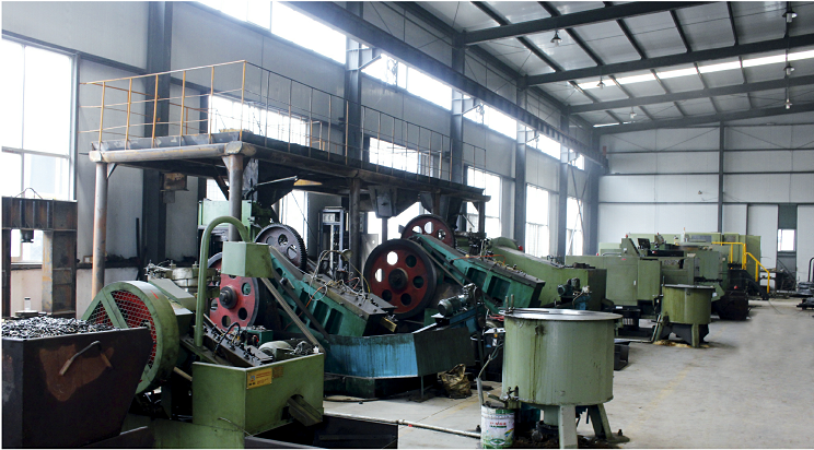 Shandong Qiangli Standard Parts Manufacturing Co., Ltd. – nuts 2