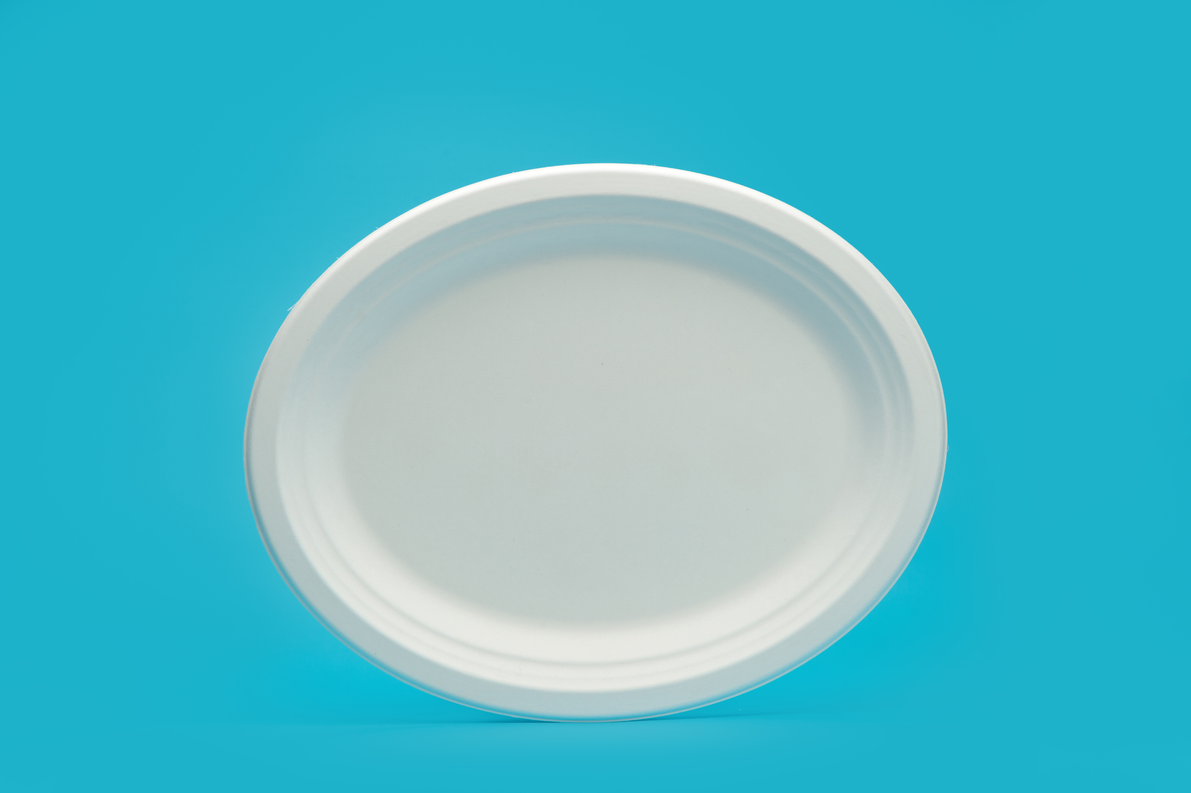 10.25 *7.75" oval plate